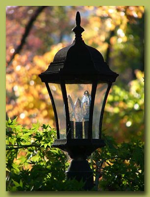 Fall Lantern