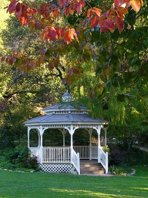 Gazebo and Red Leaves In Fall