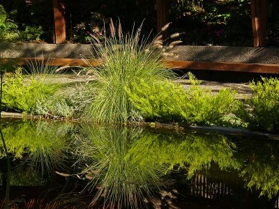 Reflections of Green