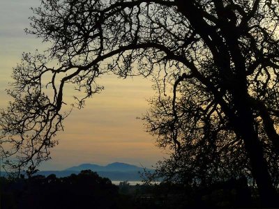 Mt. Diablo from Novato