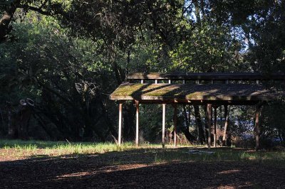 Wooded Shelter