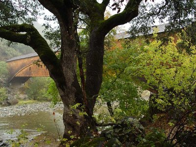 Picturesque Setting