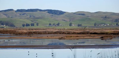 Rush Creek Marsh