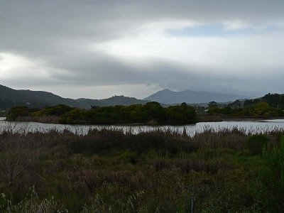 Las Gallinas Pond and Mt. Tam