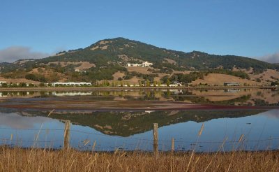 Hill Reflected