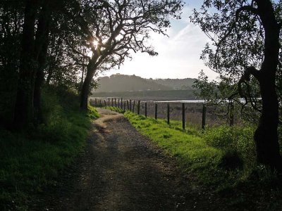 Path Into the Sun