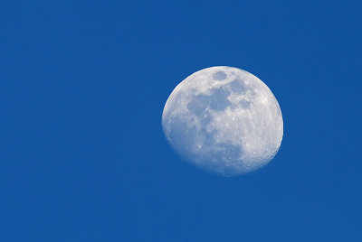 Moon