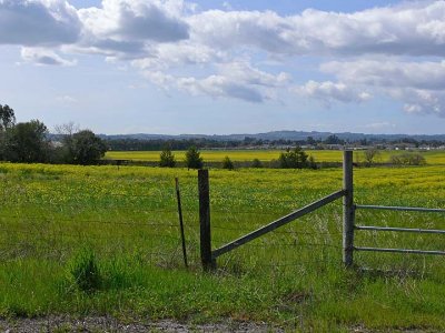 Gate to Mustard Fields