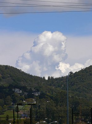 Big White Puff