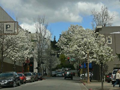 Downtown San Rafael