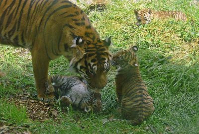 Kisses from Mom