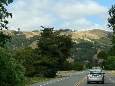 West Marin Hills Driving Home