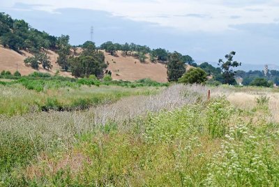 View at Las Gallinas