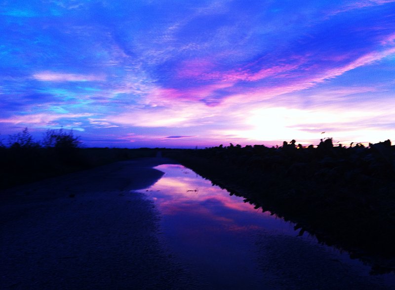 Dawn After Rain