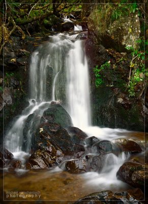 Waterfall in Feldberg Region, Black Forest
