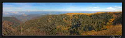 Black Forest Fall Pano