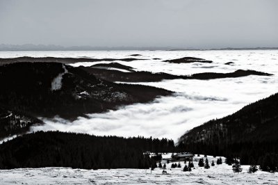 View from Feldberg/Black Forest to the Swiss Alps