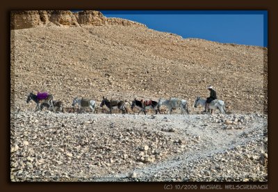 Mule Treck above Deir el Bahri