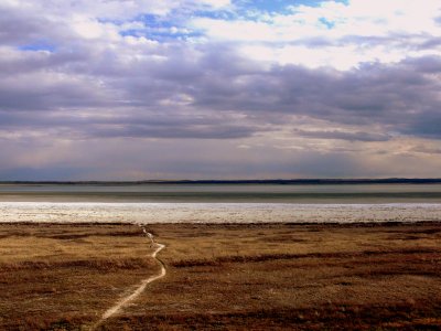 ALKALI LAKE.JPG