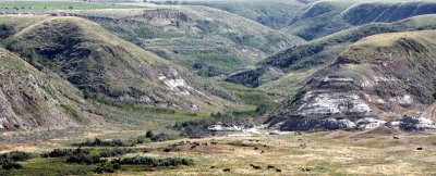 RED DEER RIVER BADLANDS.JPG