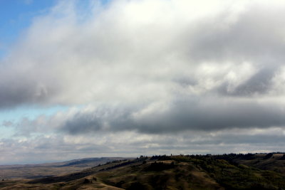 HILLTOP-CYPRESS HILLS.JPG