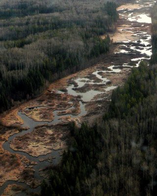 WETLAND IN THE CHINCHAGGA.JPG