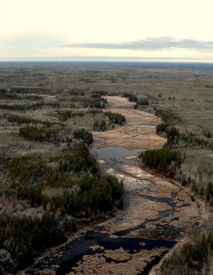 BEAVER MODIFIED WETLAND COMPLEX.JPG