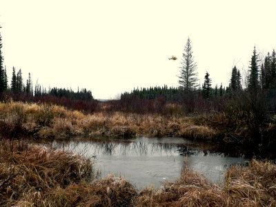 CHOPPER COMING IN.JPG