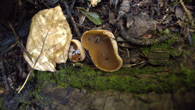P1090142.jpg