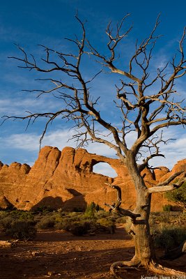 Skyline Arch