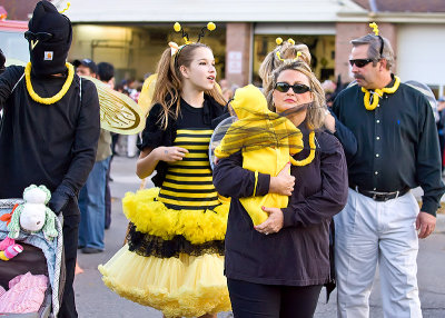 Swarm of Bees