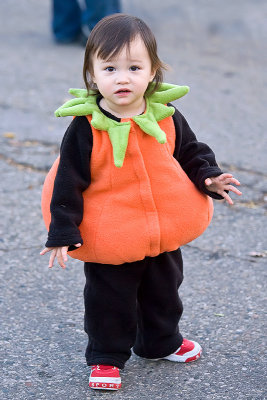 Wandering Pumpkin