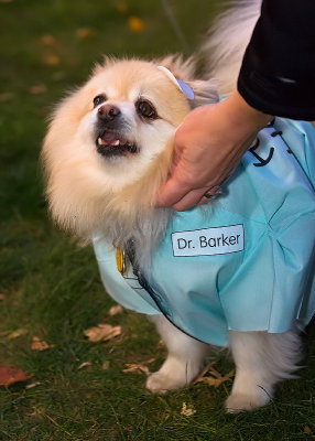 Dr. Barker