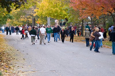 View of the Street