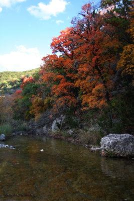 The Sabinal River at Lost Maples State Park