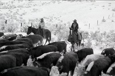 cowboying