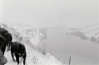 Wet cold