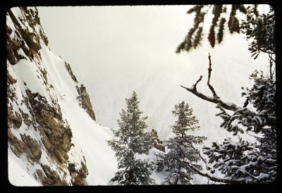 winterscape