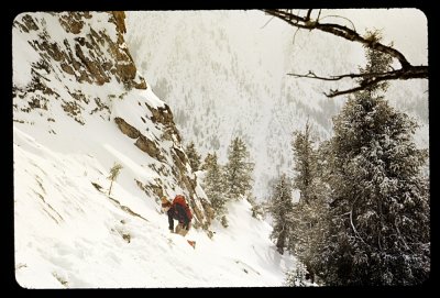 Bob climbing