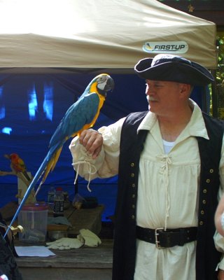 Parrot rescue