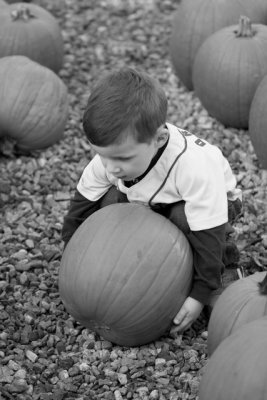 IMG_5684_BW.jpg