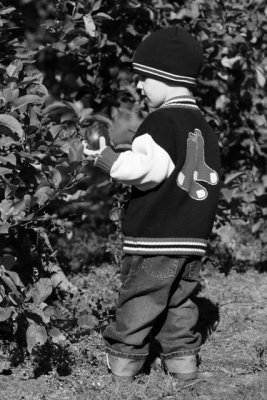 IMG_6342_BW.jpg