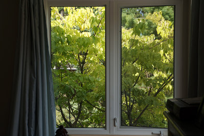 DSC00215P.jpg