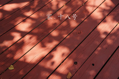 DSC00239PT.jpg