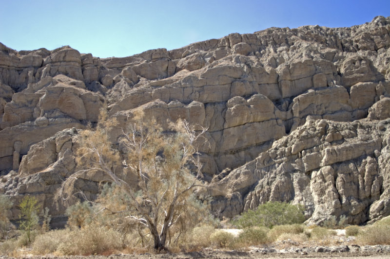 Box Canyon