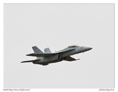 Hornet F-18 2