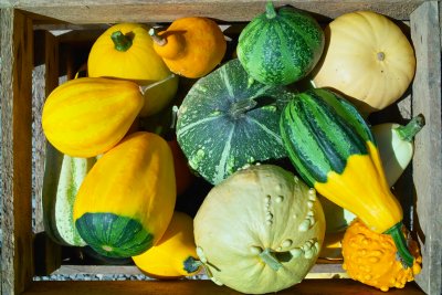 Pumpkins in an old Wine Box 2010.jpg