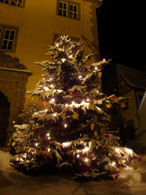 Weihnachtsbaum vor dem Sulzfelder Rathaus.jpg