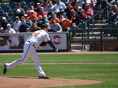 OriolesRays007.jpg