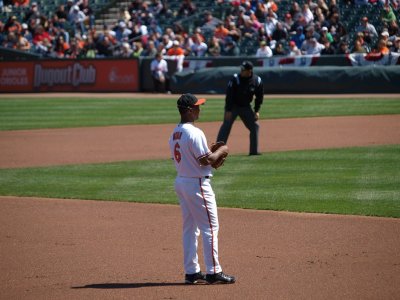 OriolesRays009.jpg